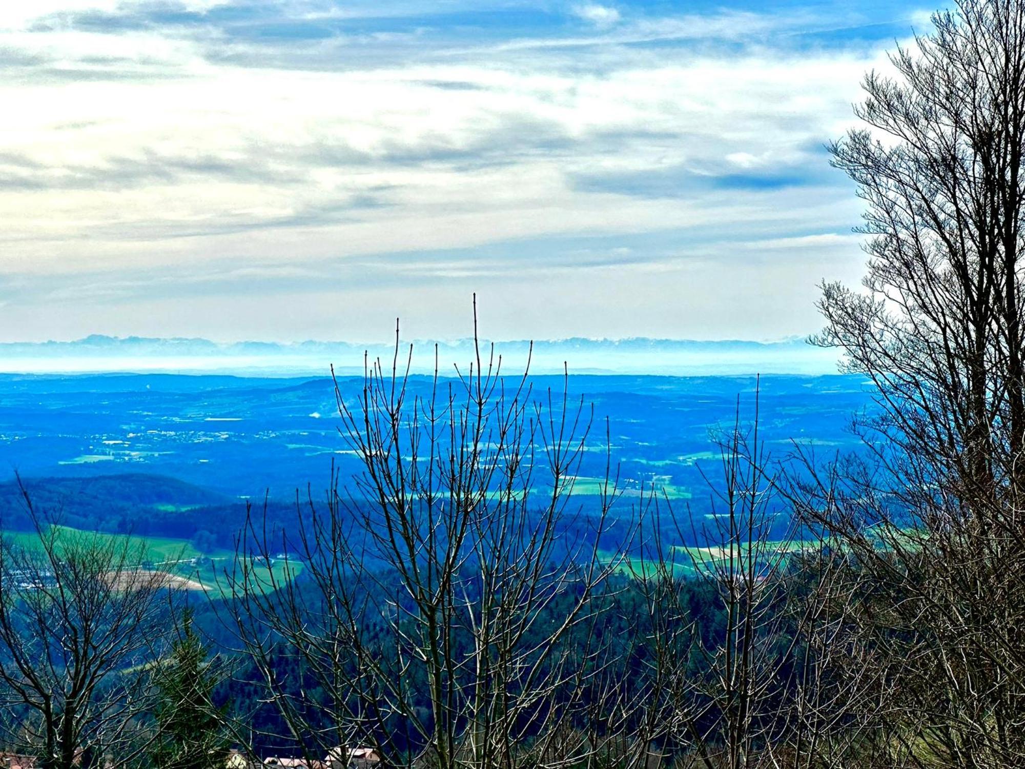 Gemuetliches Alpenblick Berg-Bungalow + Grosser Garten + Netflix! Schöfweg Kültér fotó